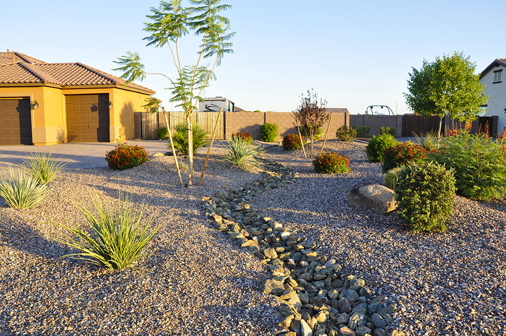 Landscape Company Near Me