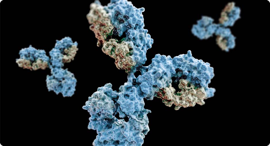 Polyclonal Antibody Production Services